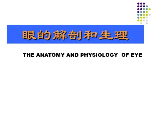 眼的解剖和生理PPT