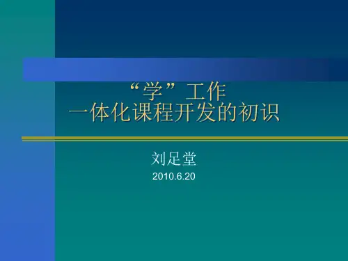 一体化课程开发项目总结报告