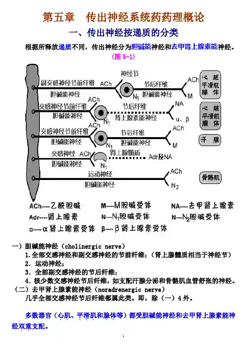 药理学 第五章传出神经系统药药理概论