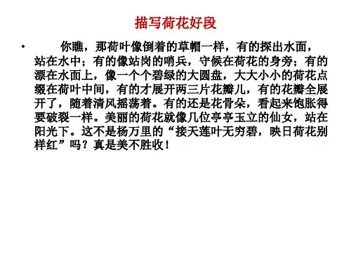 怎样扩充段落