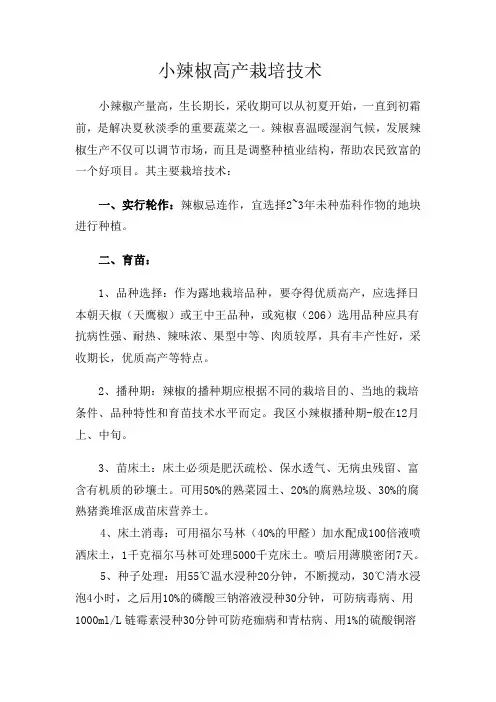 小辣椒高产栽培技术