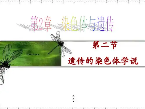 遗传的染色体学说公开课讲述