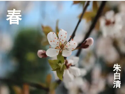 七年级上册语文第一课《春》课件