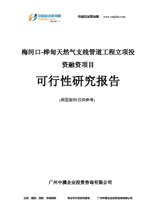梅河口-桦甸天然气支线管道工程融资投资立项项目可行性研究报告(中撰咨询)