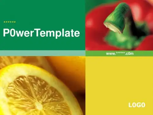 252TGp_food_light_v2动态简约实用ppt模板