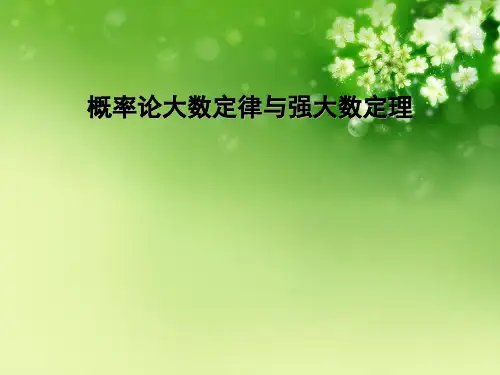 概率论大数定律与强大数定理优秀课件