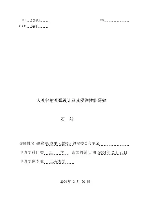 大孔径射孔弹设计及其侵彻性能研究