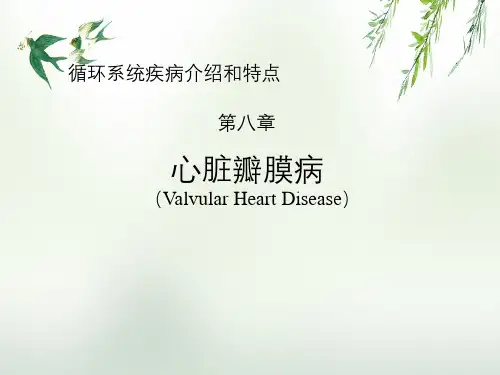 循环系统疾病介绍与特点第八章心脏瓣膜病