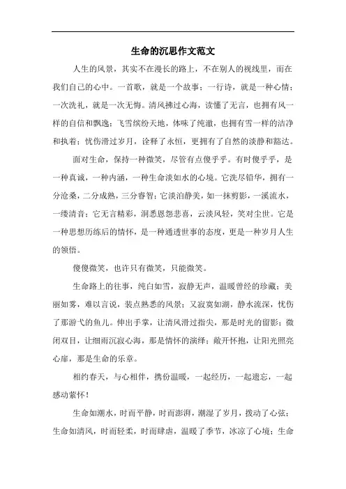生命的沉思作文范文