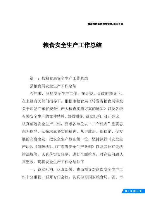 粮食安全生产工作总结