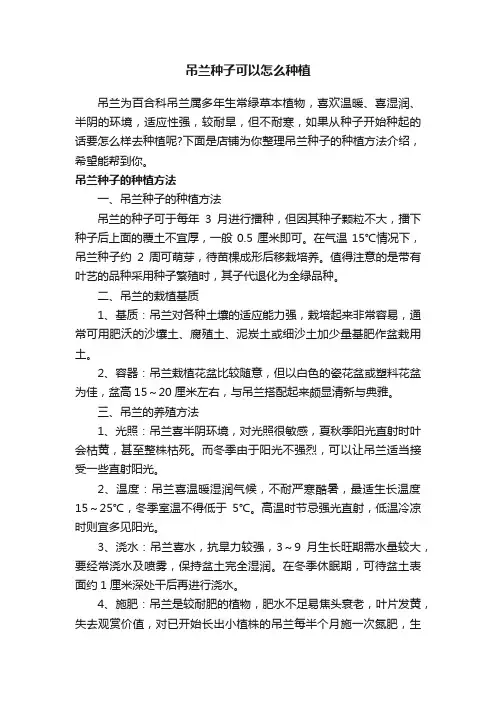 吊兰种子可以怎么种植