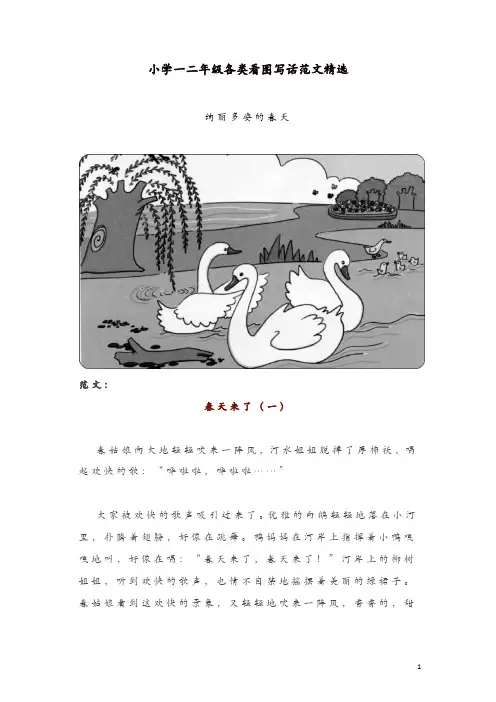 【推荐】小学一二年级各类看图写话范文精选