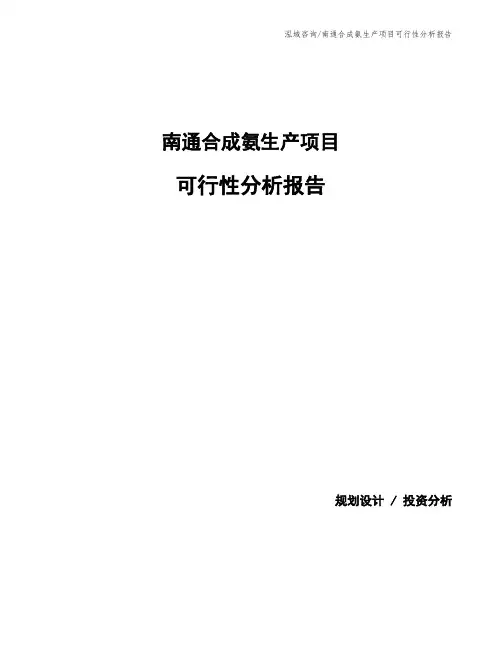 南通合成氨生产项目可行性分析报告