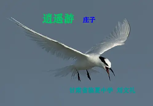 《逍遥游》公开课课件