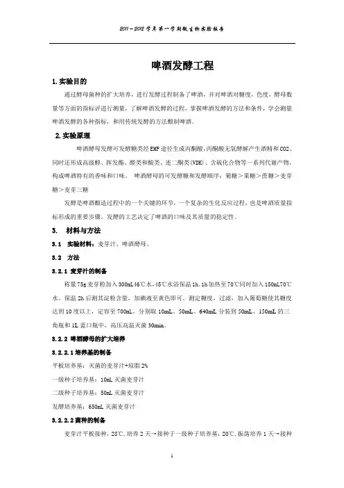 啤酒发酵工程