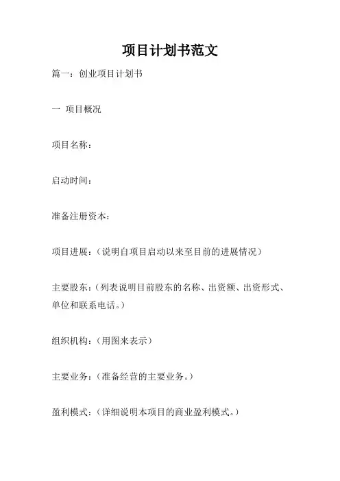 项目计划书范文 3
