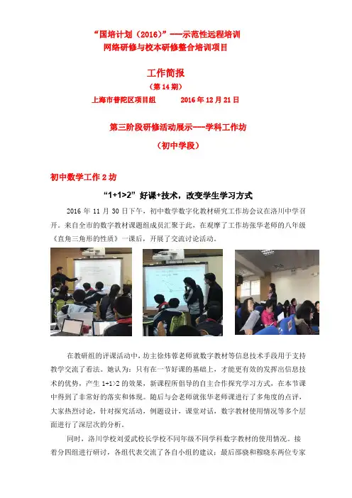 上海市普陀区项目组第十四期简报