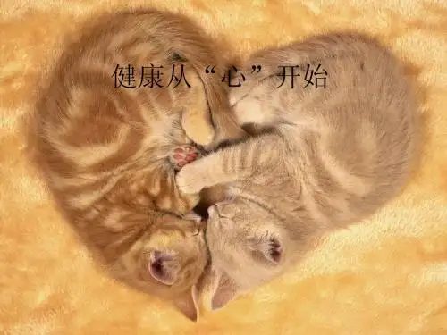 健康从“心”开始
