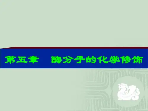 酶工程 5 化学修饰