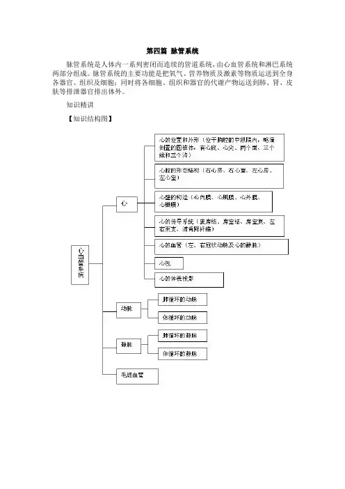《人体解剖学基础》第七章 脉管系统总结及习题