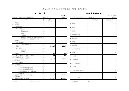 上海市小企业月度会计报表(执行小企业会计准则)EXCEL模版带公式 (1)
