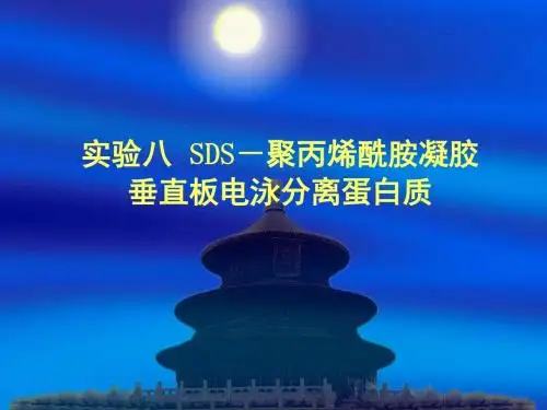 实验聚丙烯酰胺凝胶垂直板电泳