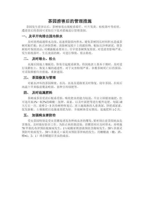 茶树涝害后的管理措施