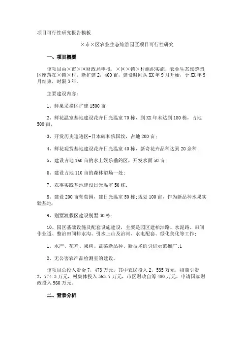 项目可行性研究报告
