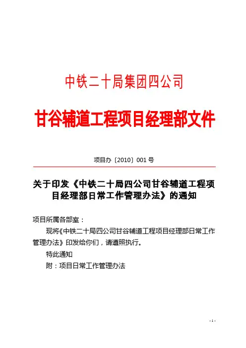 项目日常管理办法