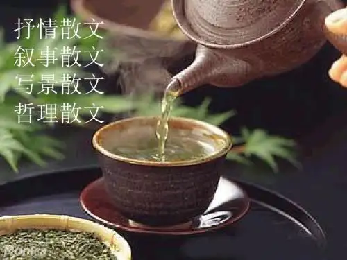 最新人教版高中语文必修二《荷塘月色》课件