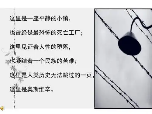 高一语文奥斯维辛没有什么新闻