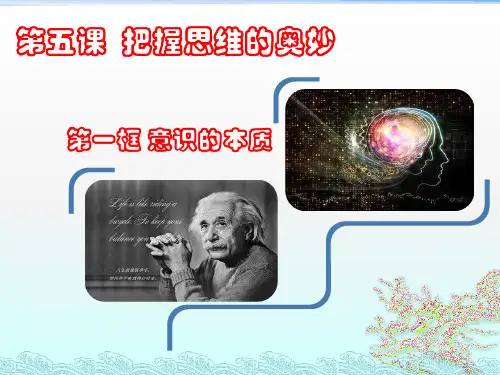 人教版高中政治必修四课件：意识的本质