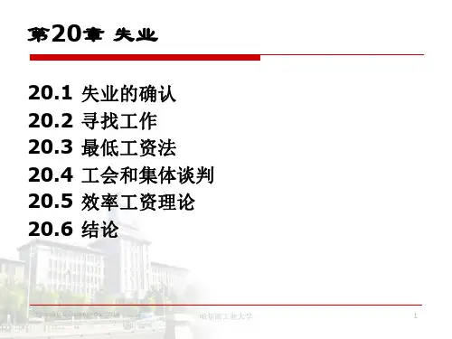《经济学基础》教学课件 第20章 失业