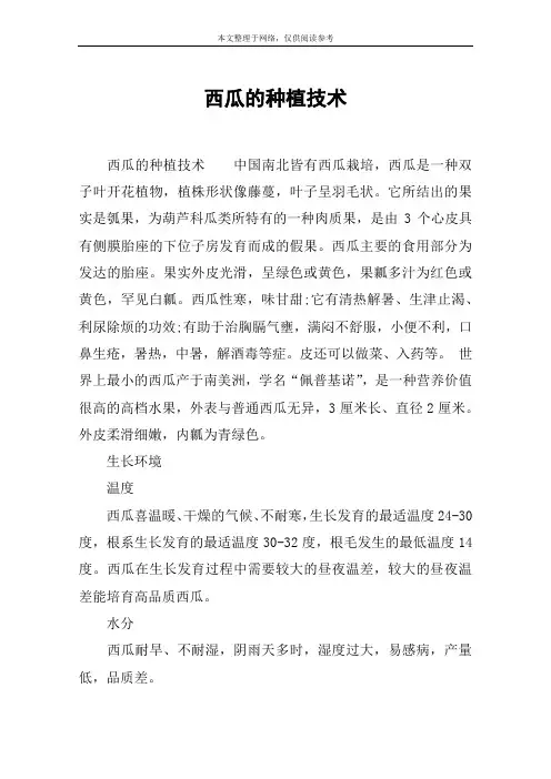 西瓜的种植技术