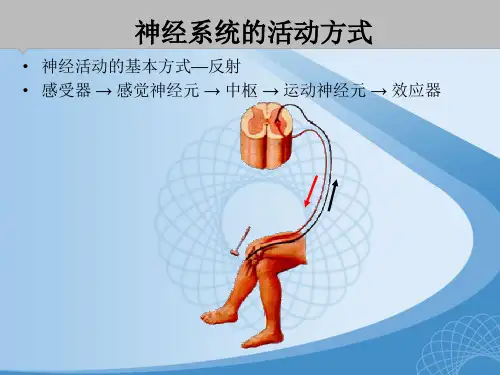 第二章 传出神经系统药物