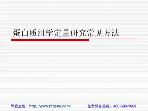 蛋白质组学定量研究常见方法