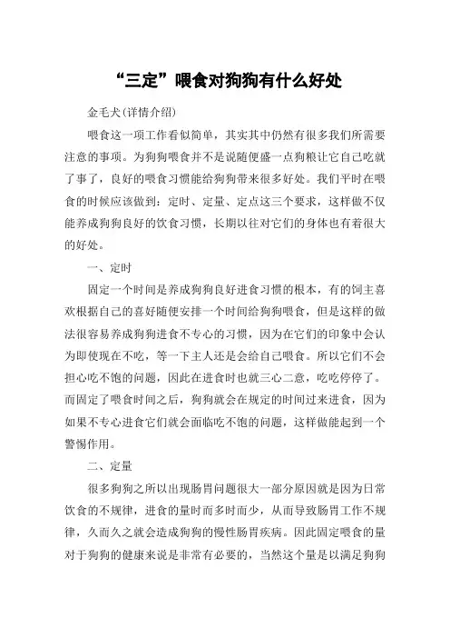 “三定”喂食对狗狗有什么好处