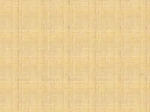 一年级语文《比尾巴》ppt课件(公开课)精编版