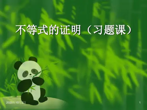不等式的证明(习题课)PPT课件