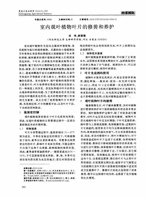 室内观叶植物叶片的修剪和养护