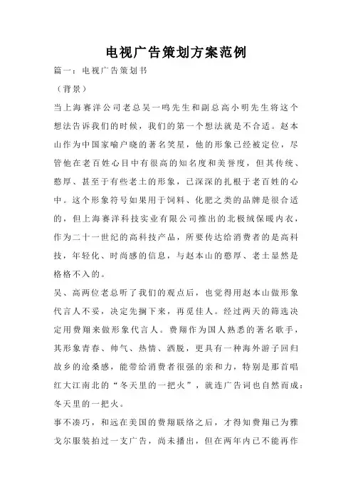 电视广告策划方案范例