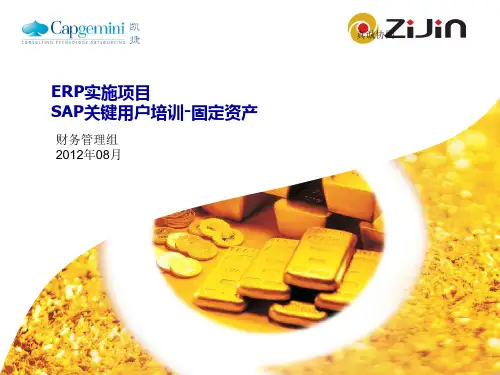SAP固定资产培训(精)