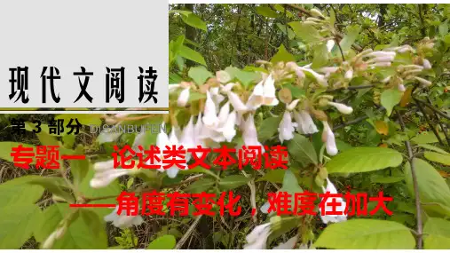 高三论述类文本阅读
