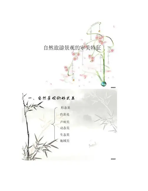 自然旅游景观的审美特征.