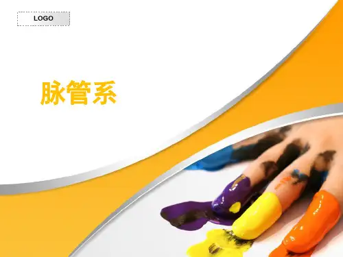 第九章心血管系统