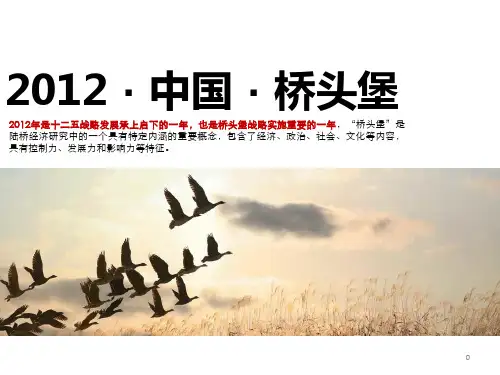 桥头堡发展20121解析