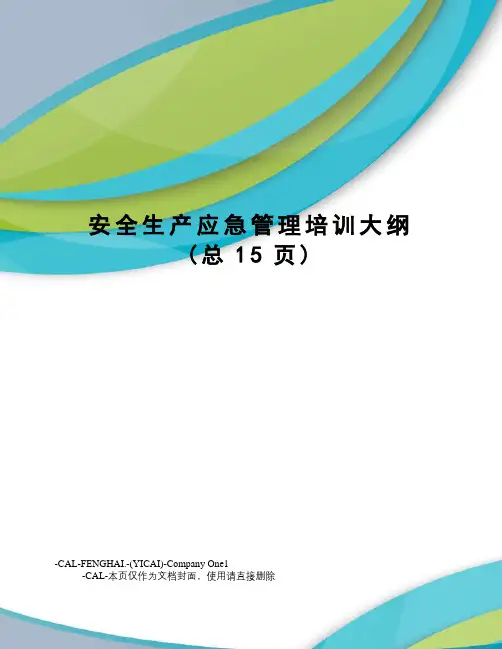 安全生产应急管理培训大纲(总15页)