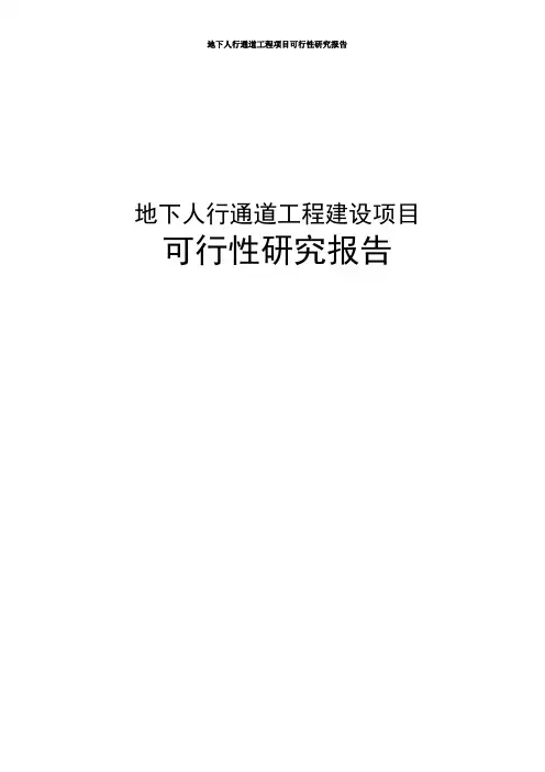 地下人行通道工程建设项目可行性研究报告
