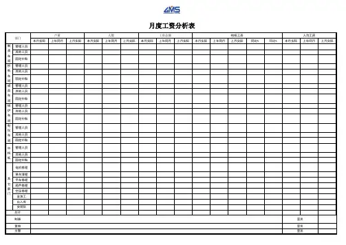 月度工资分析表
