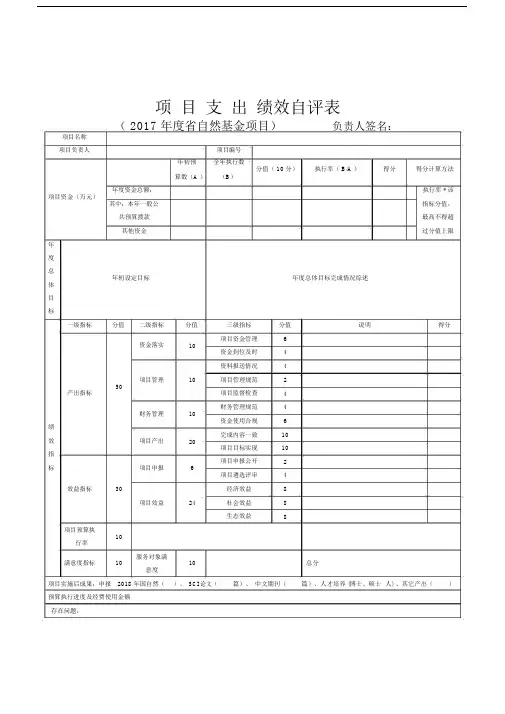 项目支出绩效自评表.doc